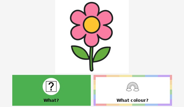 What colour is it?