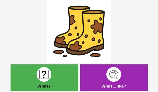 Describe the items- clean or dirty?